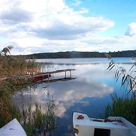 In Skrzynia Near & Forest *