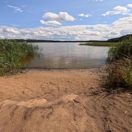 In Skrzynia Near & Forest