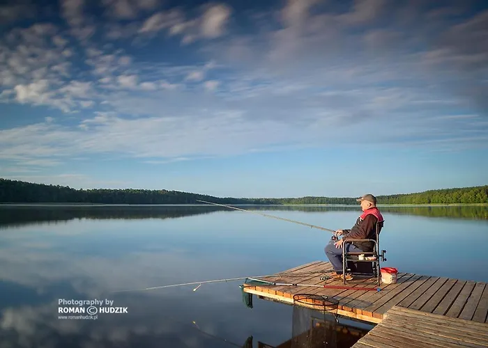 In Skrzynia Near & Forest