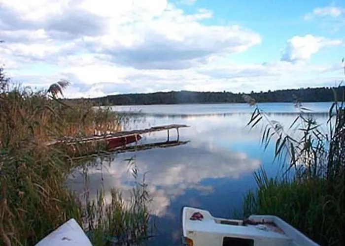 In Skrzynia Near & Forest *