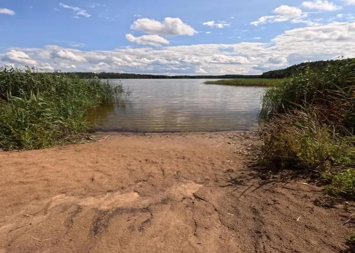 In Skrzynia Near & Forest